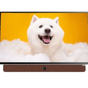 Google Tivi Xách Tay Coocaa FHD 24 Inch 24LP6000G